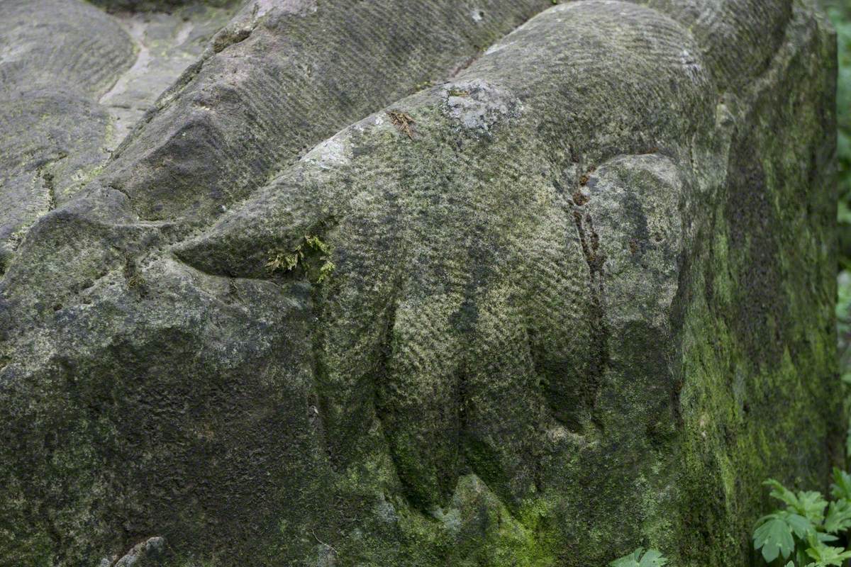 Newt on a Cliff