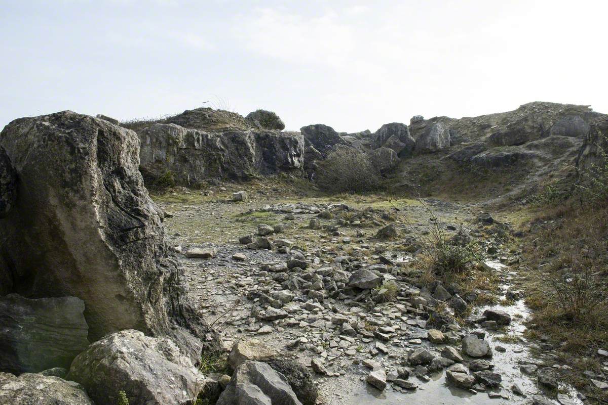 The Arena of Fools (Fulls)