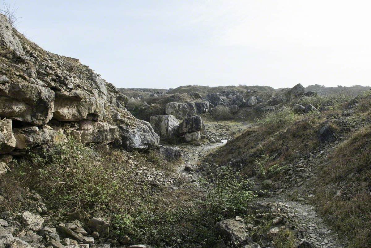 The Arena of Fools (Fulls)