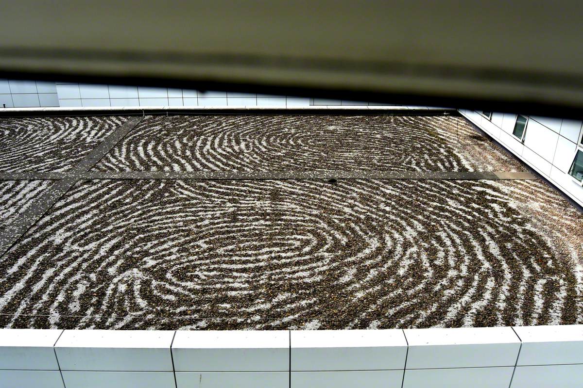 Fingerprint Roof