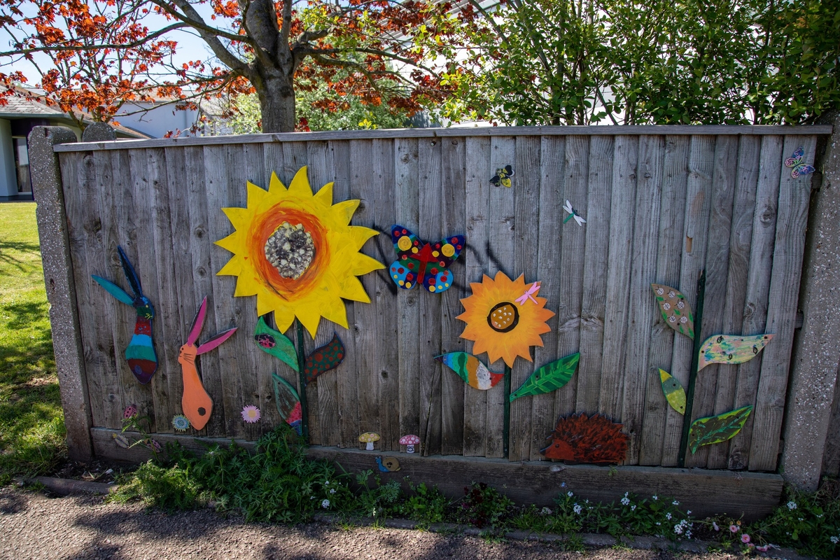 Over the Garden Fence