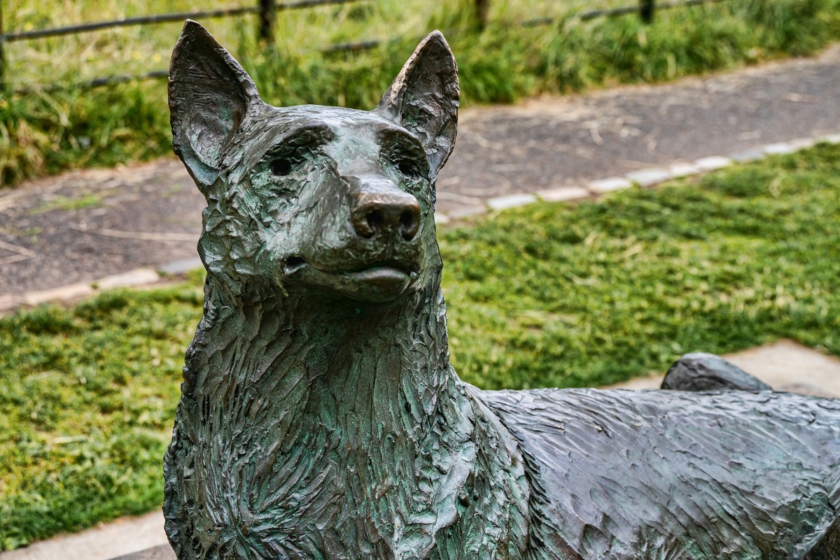 Scottish Police Dogs Memorial