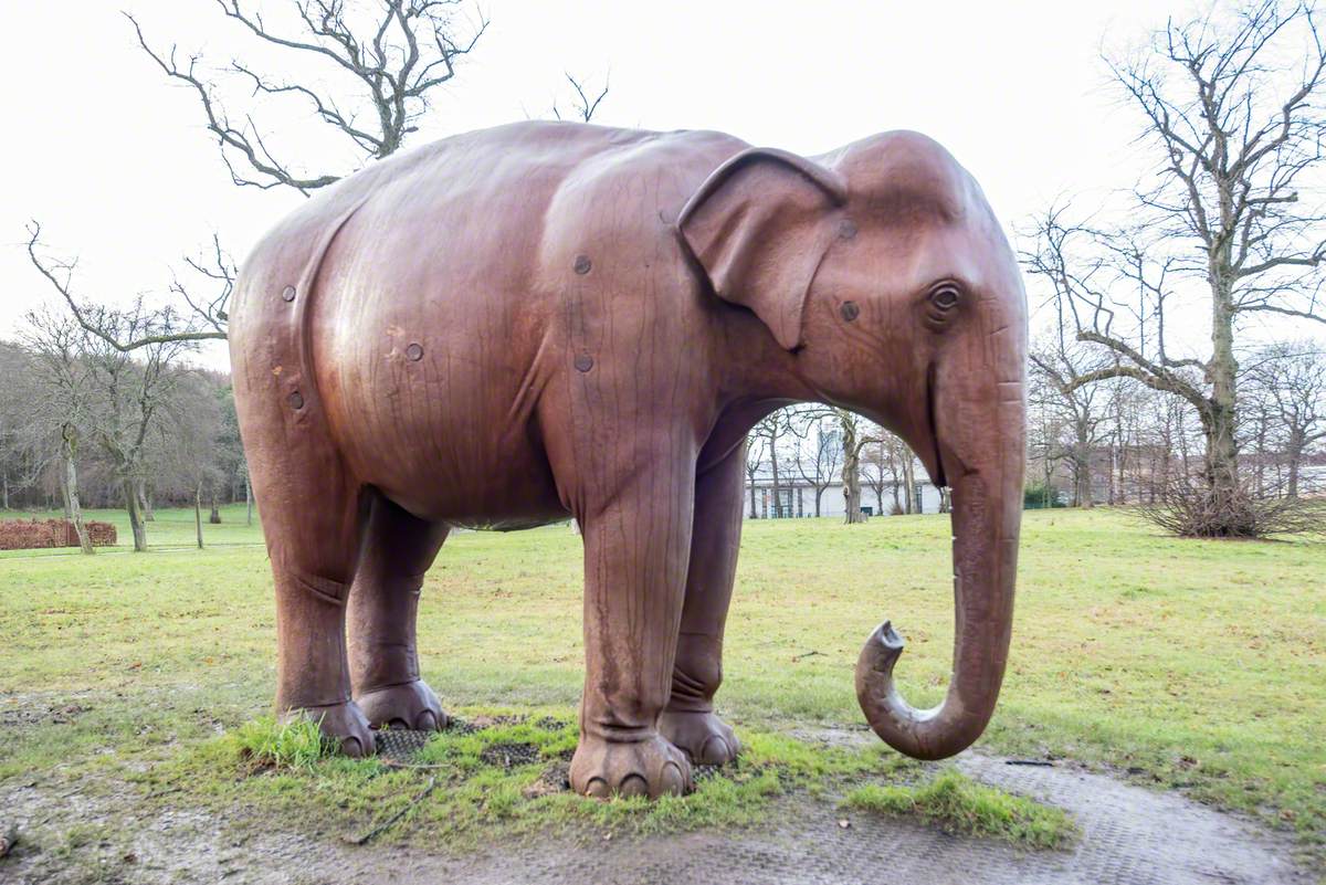 Elephant for Glasgow