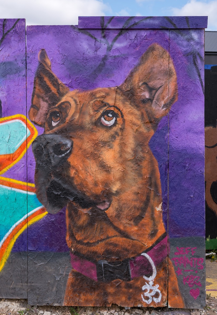 Scooby-Doo Graff