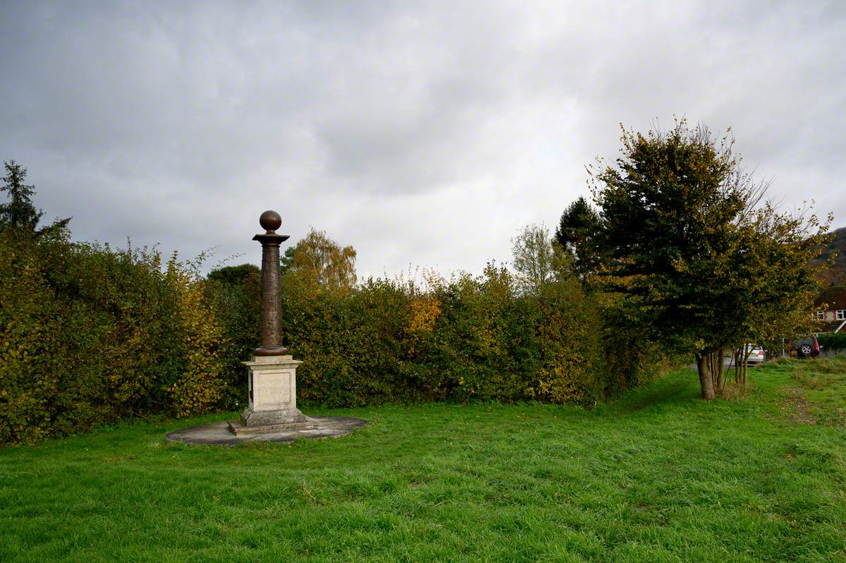 Cocking History Column