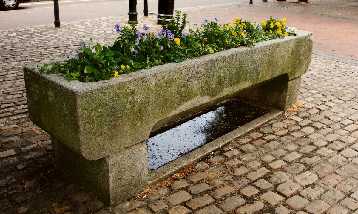 Drinking Trough/Fountain