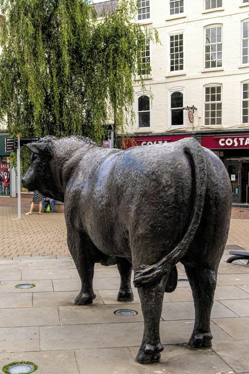 Hereford Bull