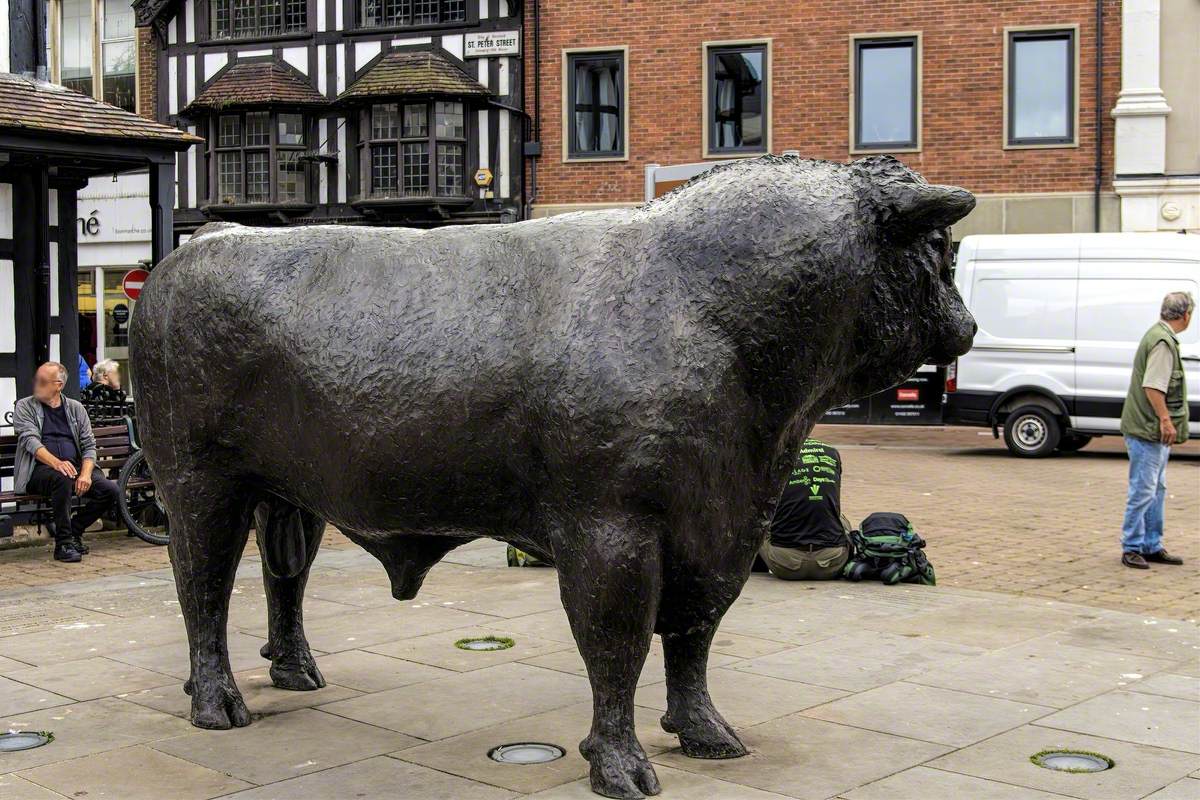 Hereford Bull