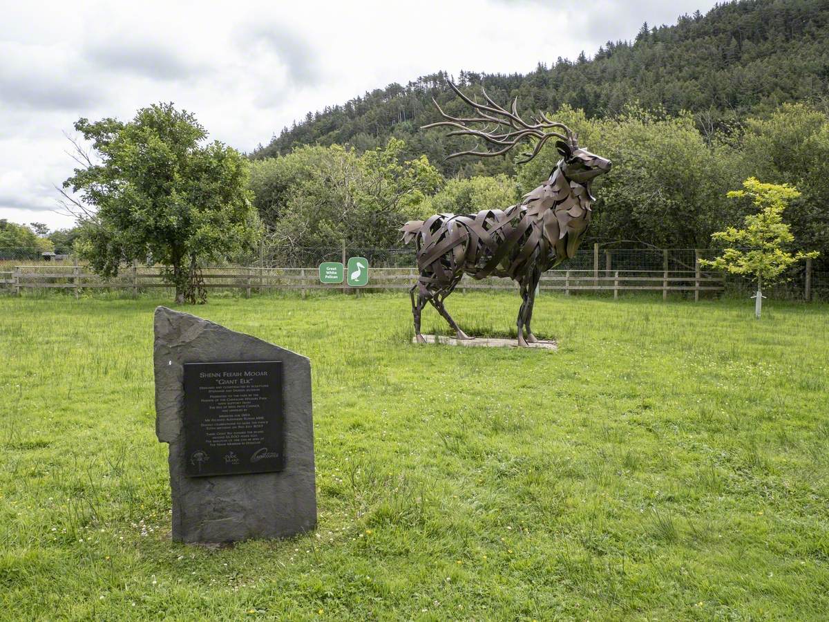 Giant Elk