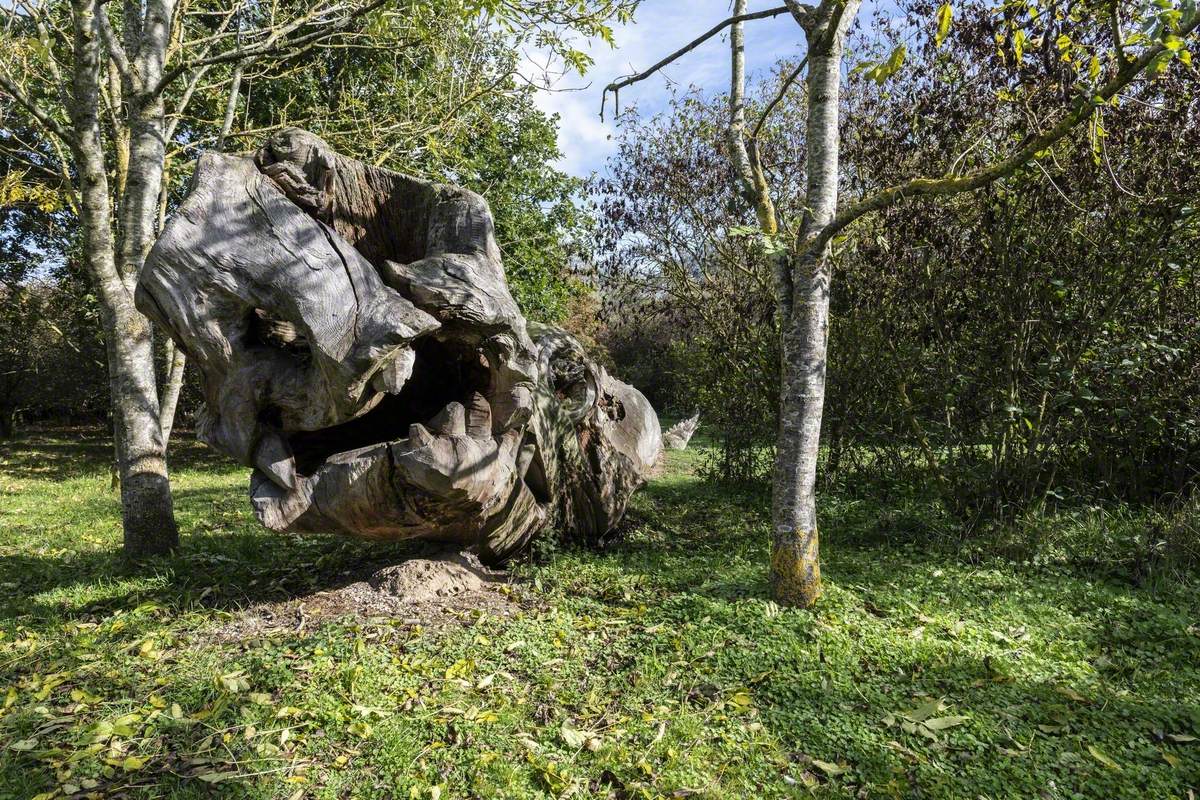 Scole Dragon
