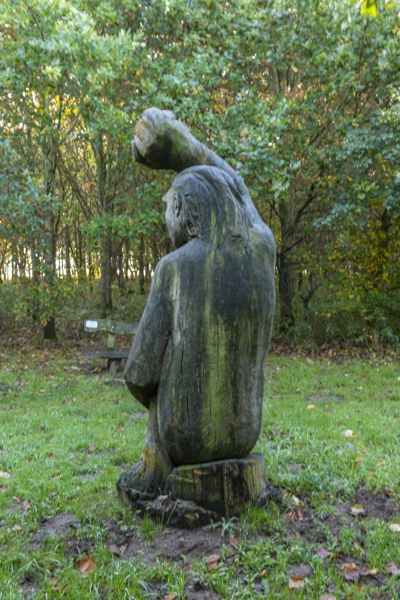 Hoxne Man (Hearts of Oak Sculpture Trail)