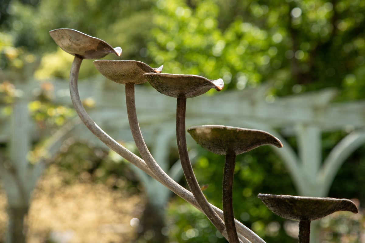 Cups Water Feature
