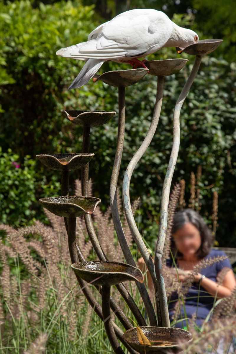 Cups Water Feature