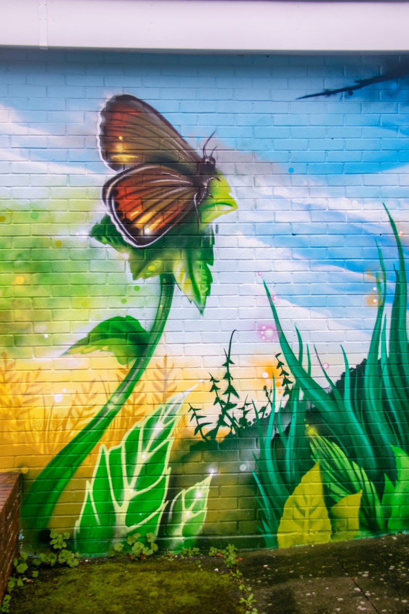 Biodiversity