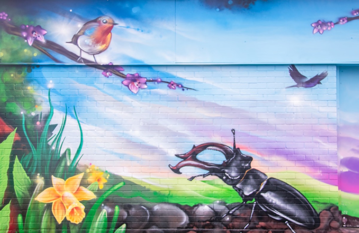 Biodiversity
