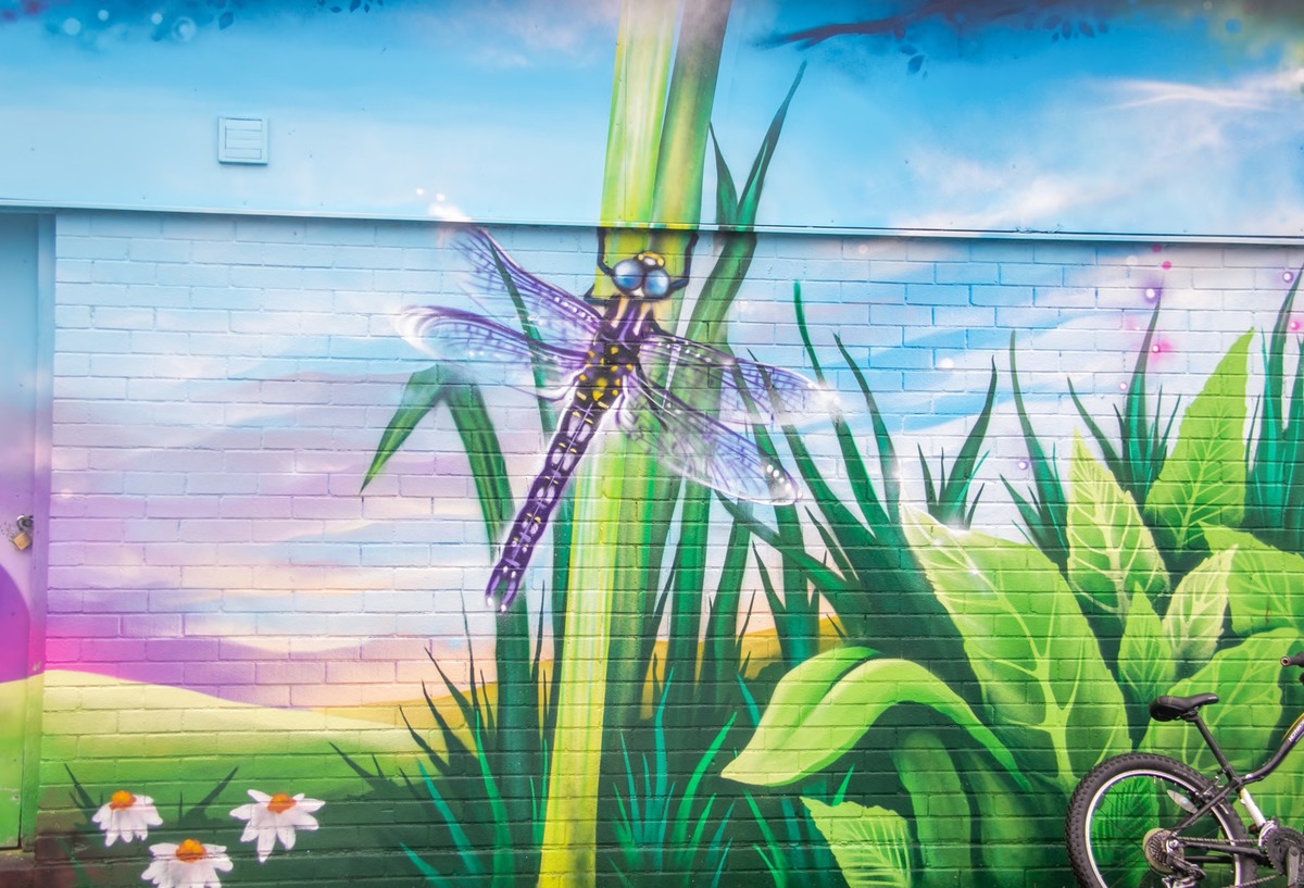 Biodiversity