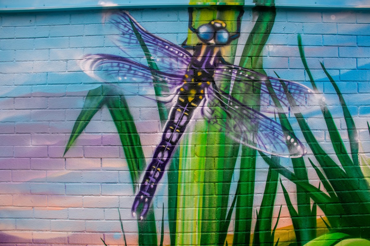 Biodiversity
