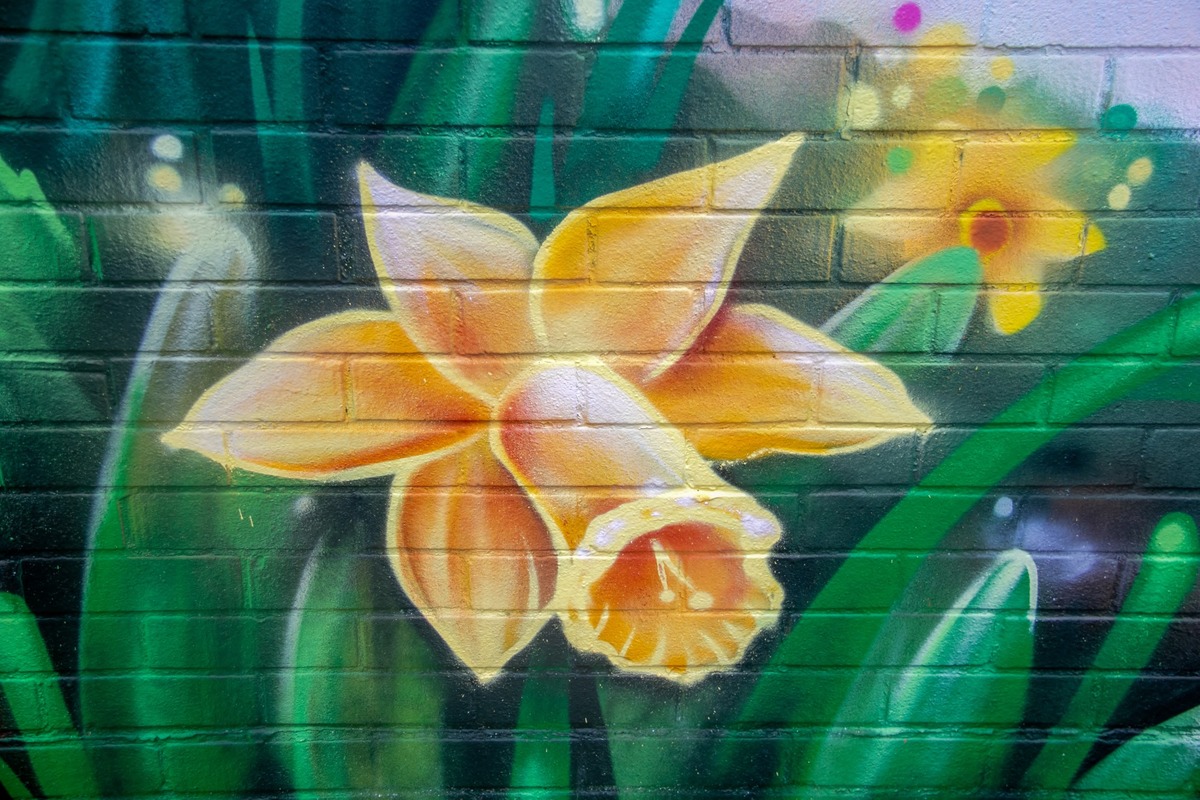 Biodiversity