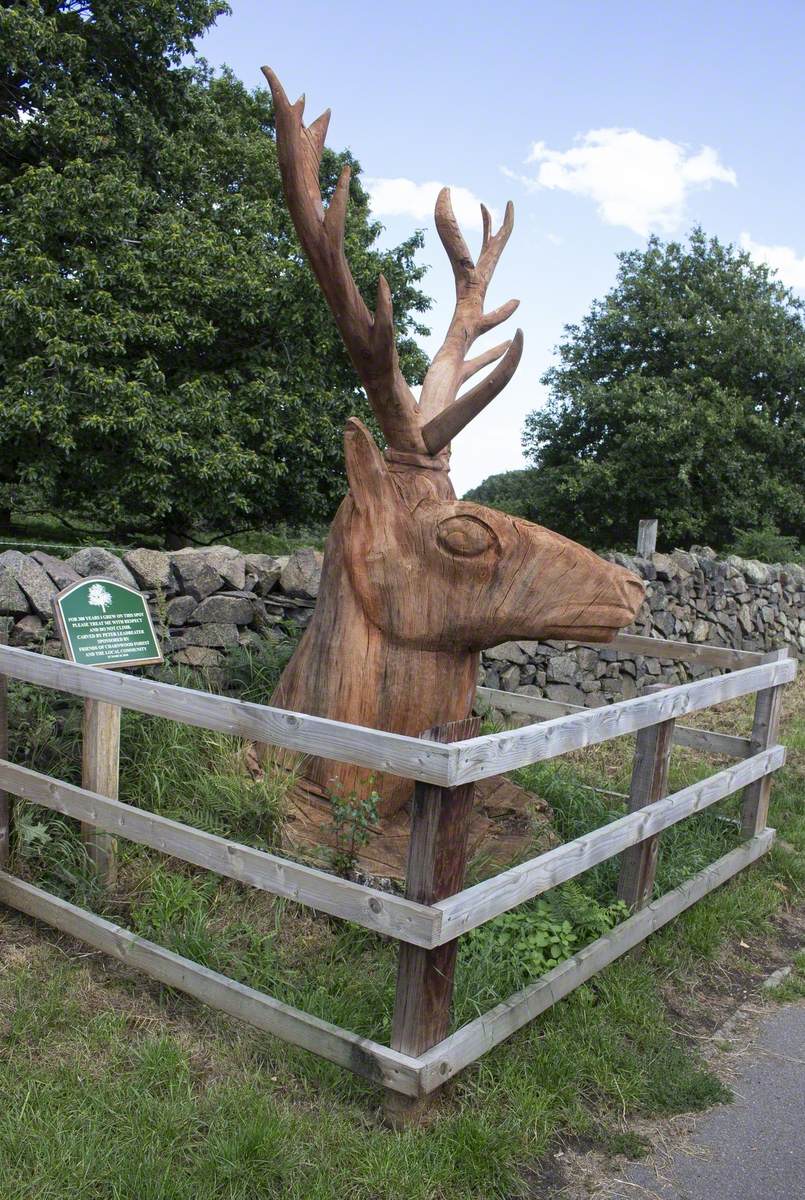 The Stag