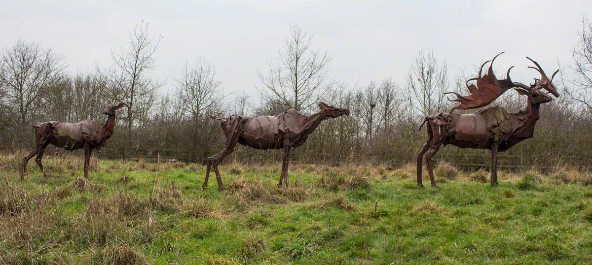 Irish Elk