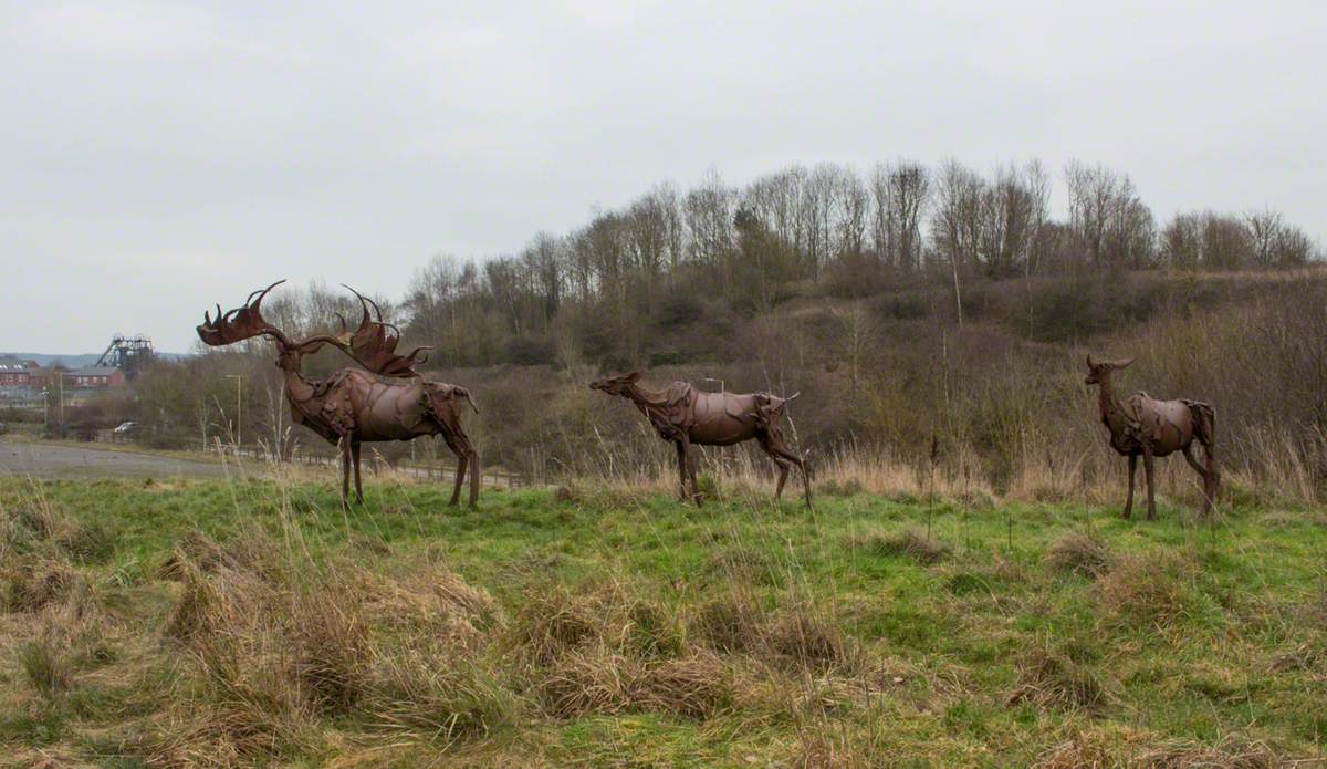 Irish Elk