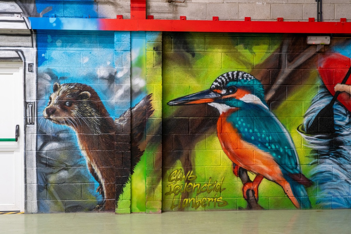 llanberis-wildlife-art-uk