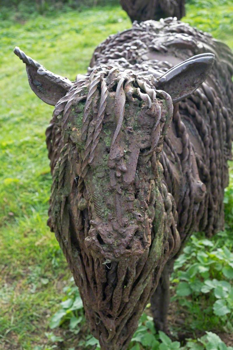 Lincoln Longwool Sheep