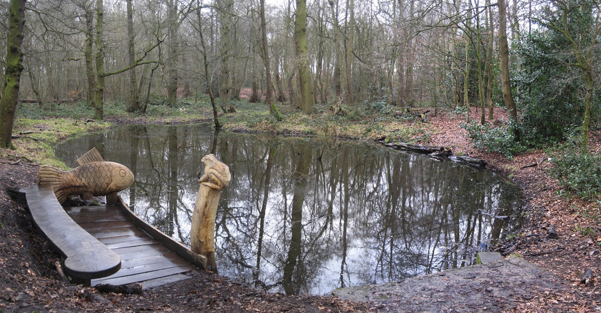 Bird, Bridge, Fish, Dipping and Fox