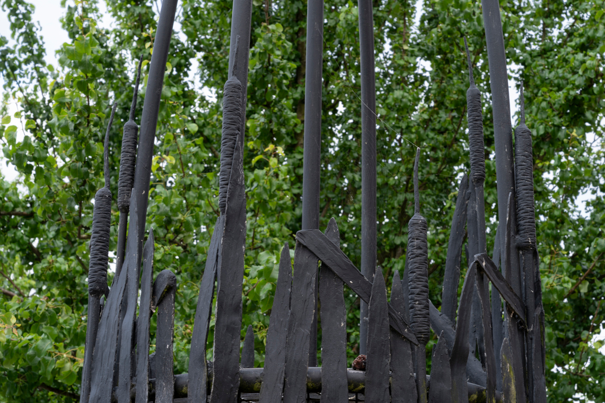 In the Bulrushes