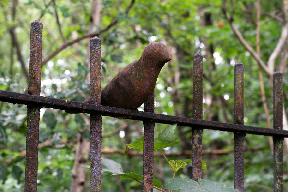 Canaries in the Park