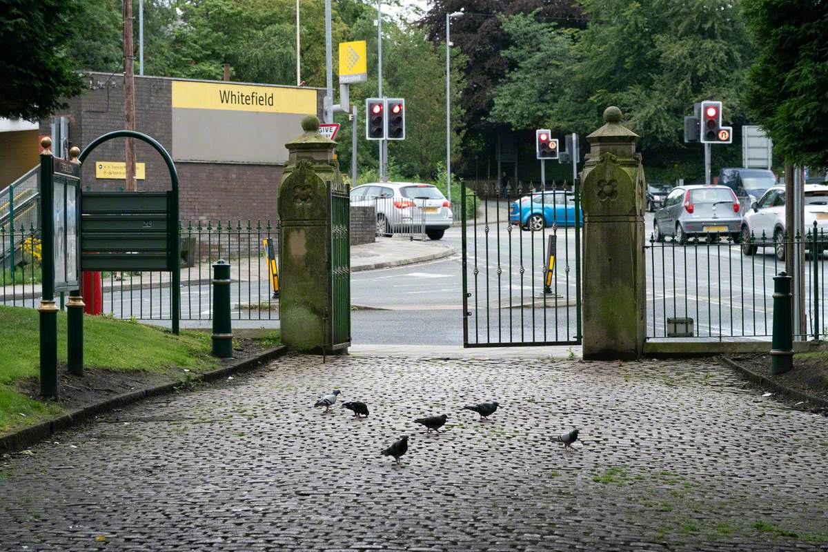 Canaries in the Park