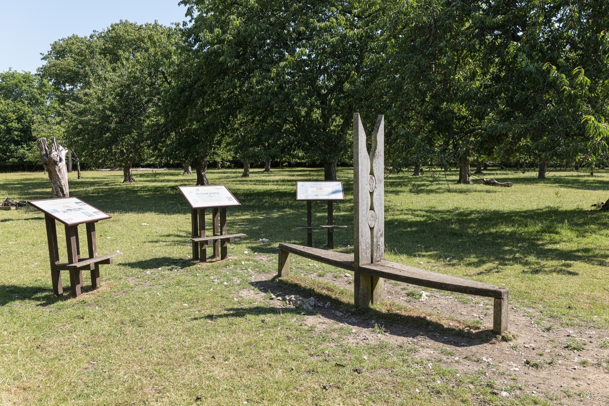 Bequest (Clothes Peg Bench)