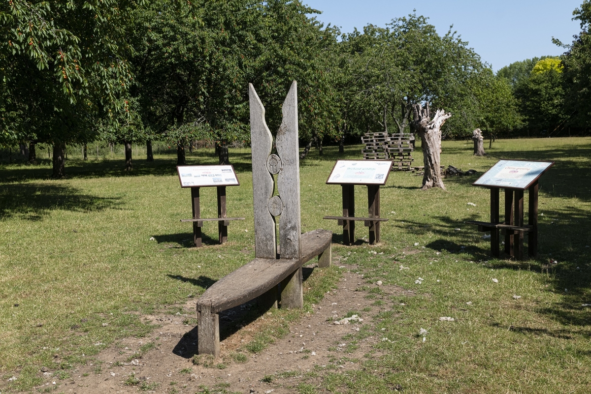 Bequest (Clothes Peg Bench)