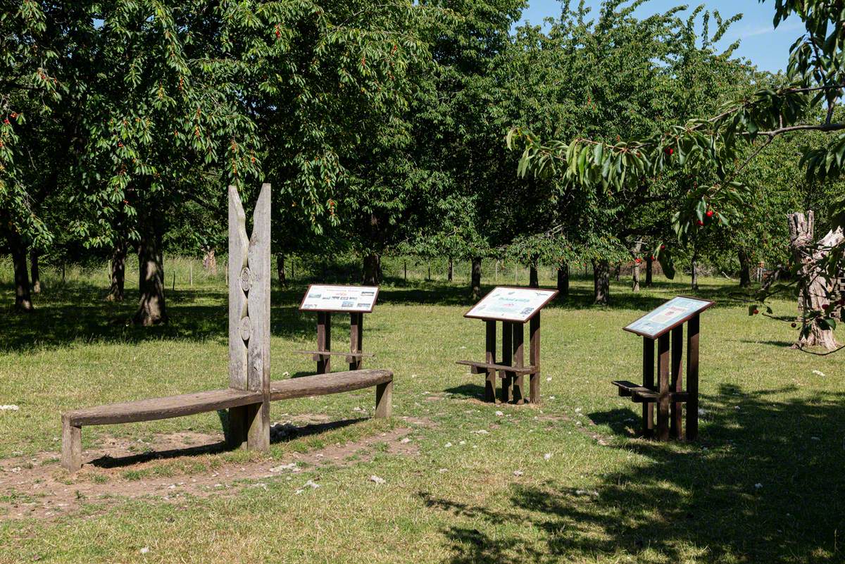 Bequest (Clothes Peg Bench)