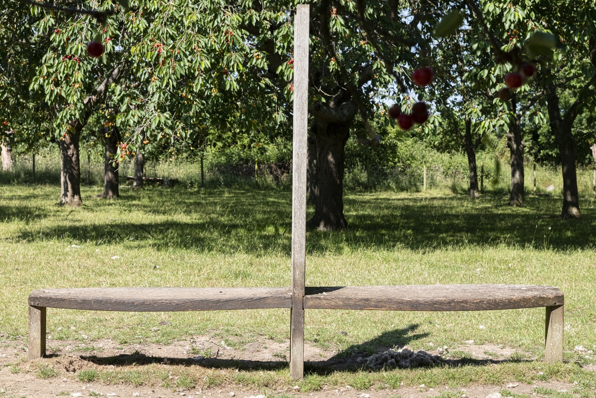 Bequest (Clothes Peg Bench)