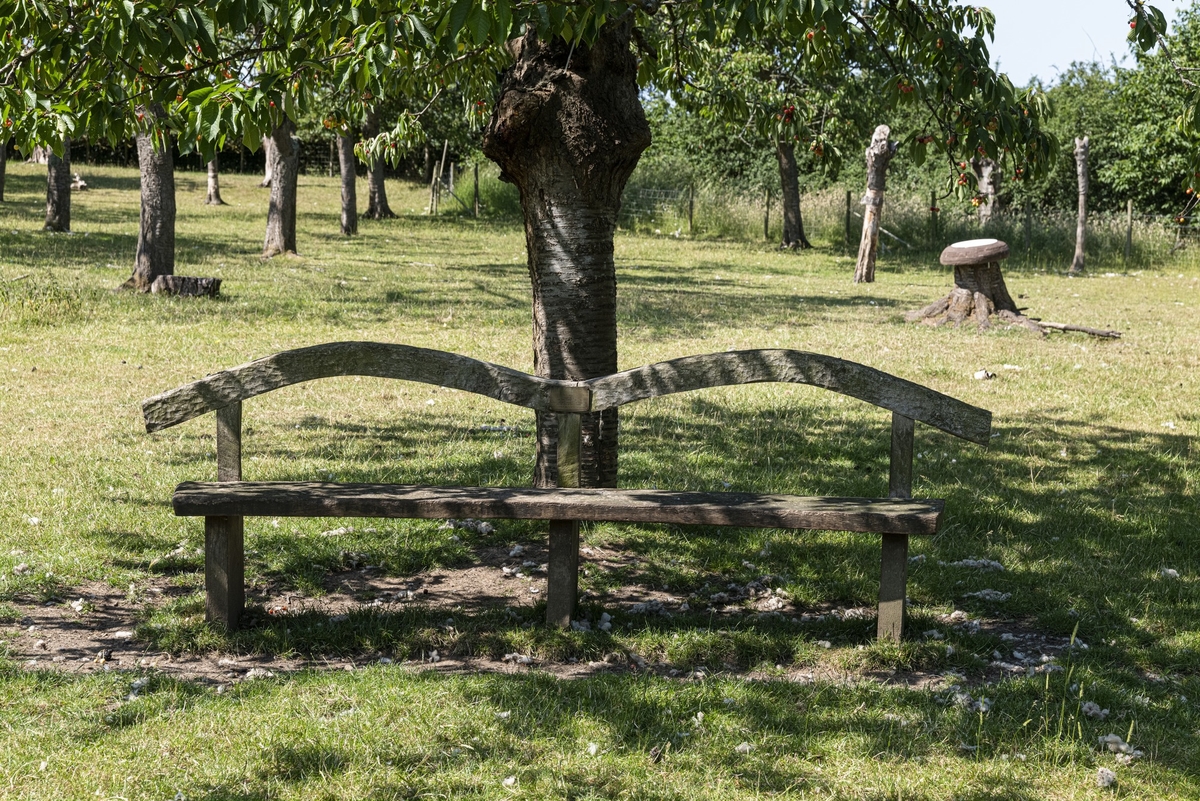 Bequest (Clothes Peg Bench)