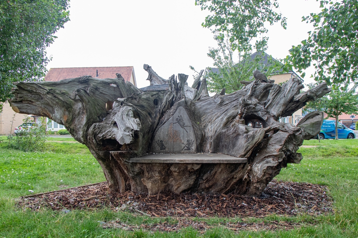 Carved Oak Root