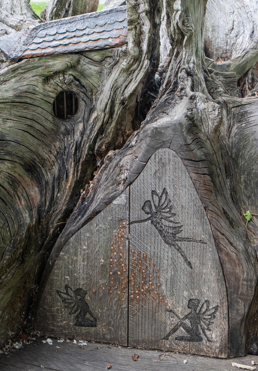 Carved Oak Root