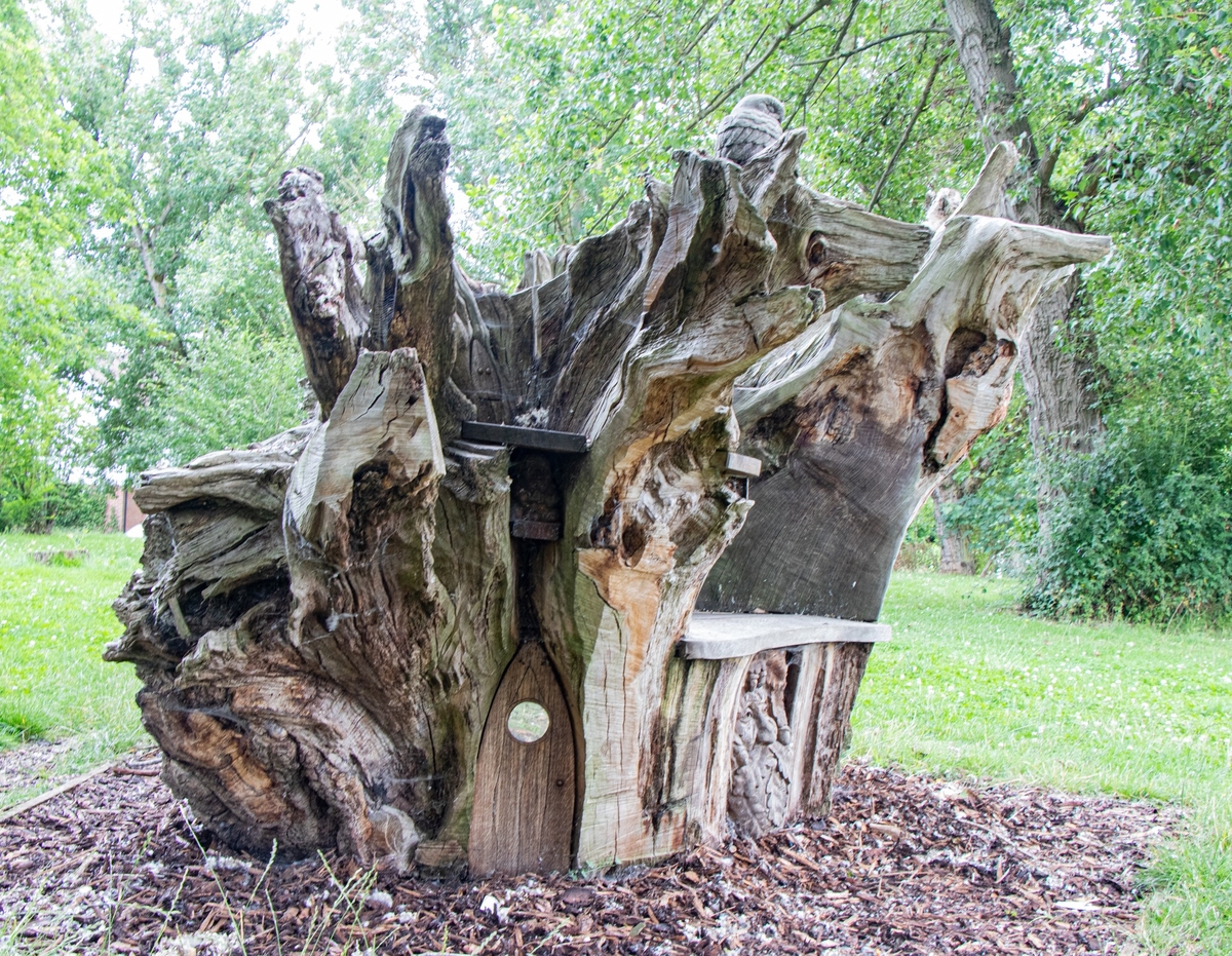 Carved Oak Root