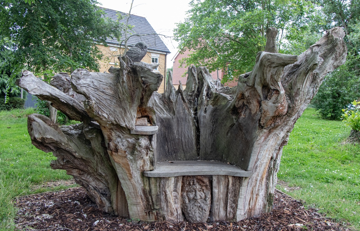 Carved Oak Root