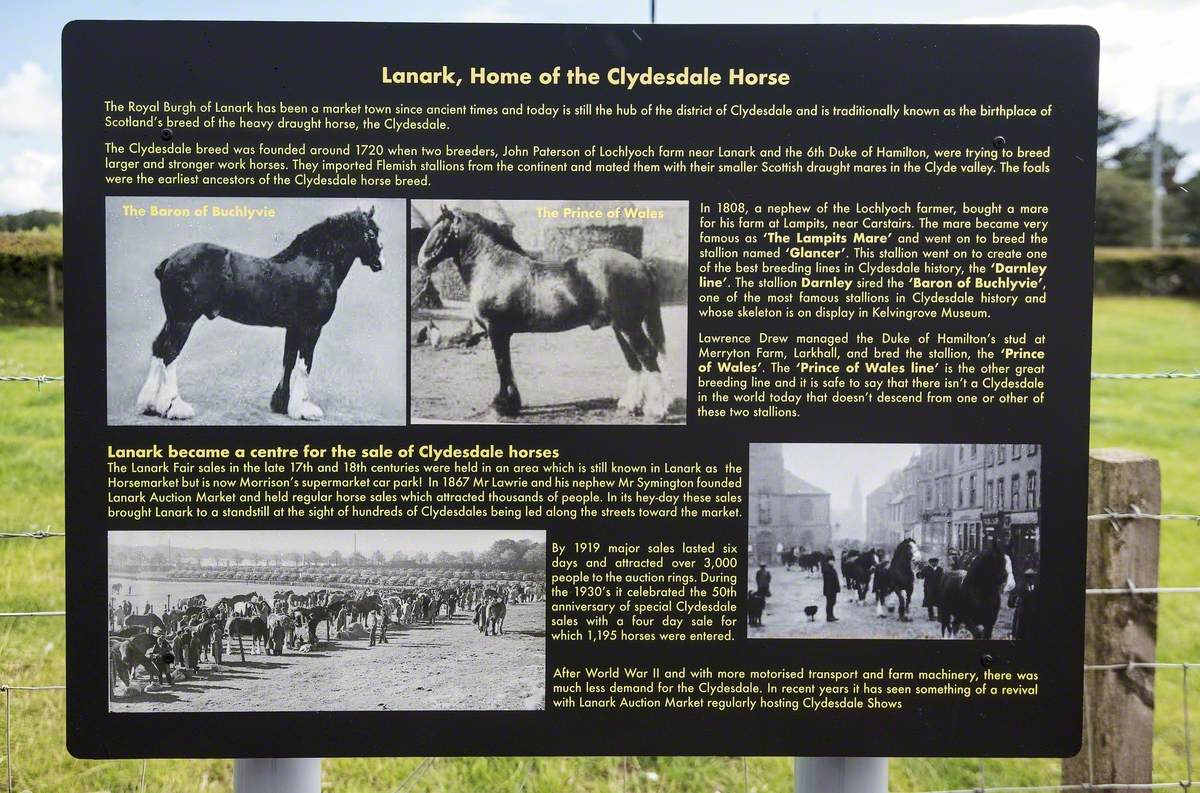 Lanark's Mighty Clydesdale