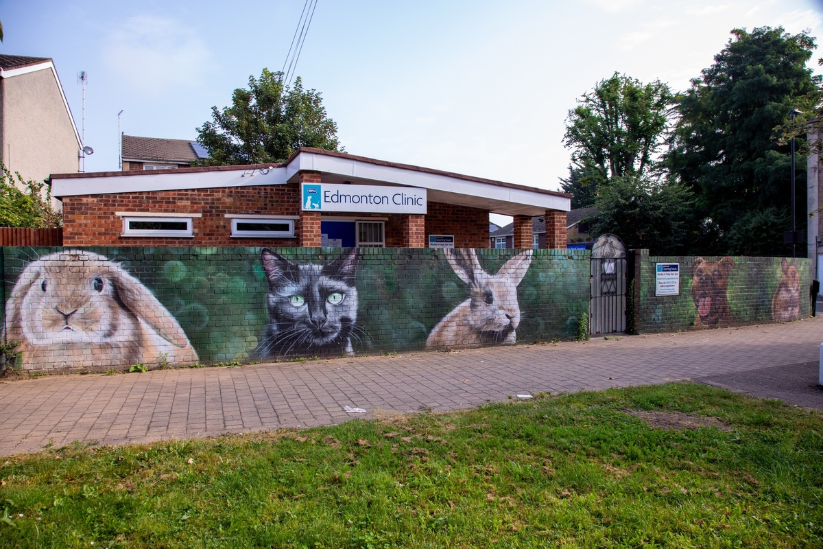 Vet Mural