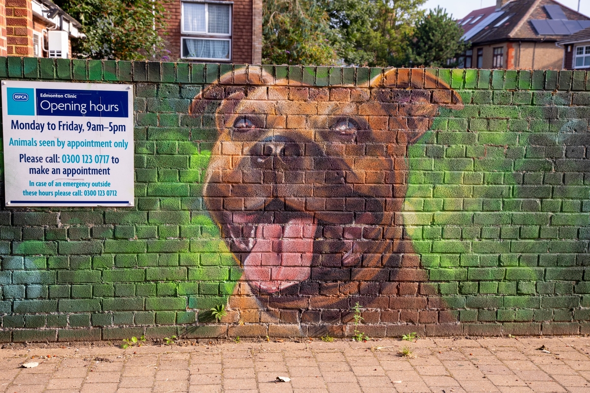 Vet Mural