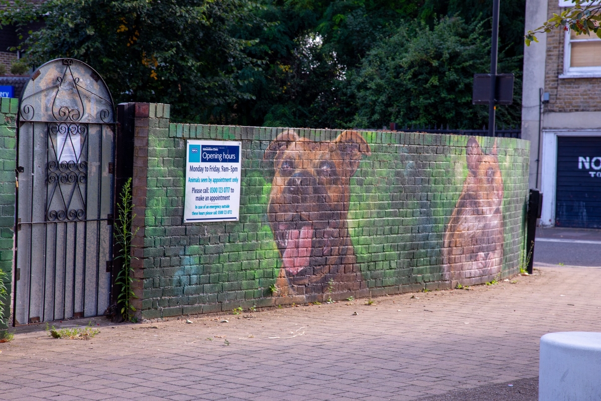 Vet Mural