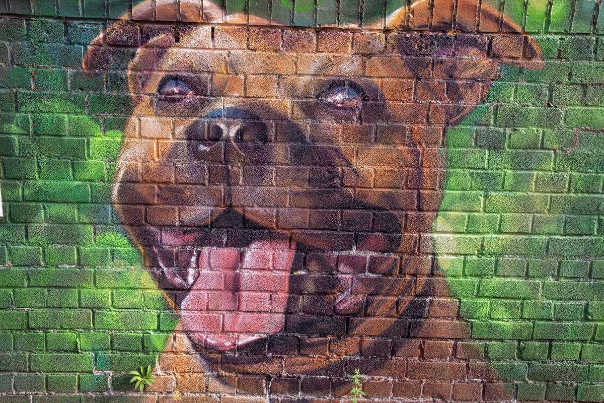 Vet Mural