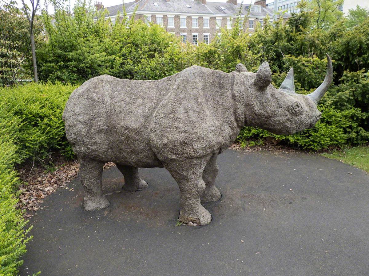 Black Rhinoceros | Art UK