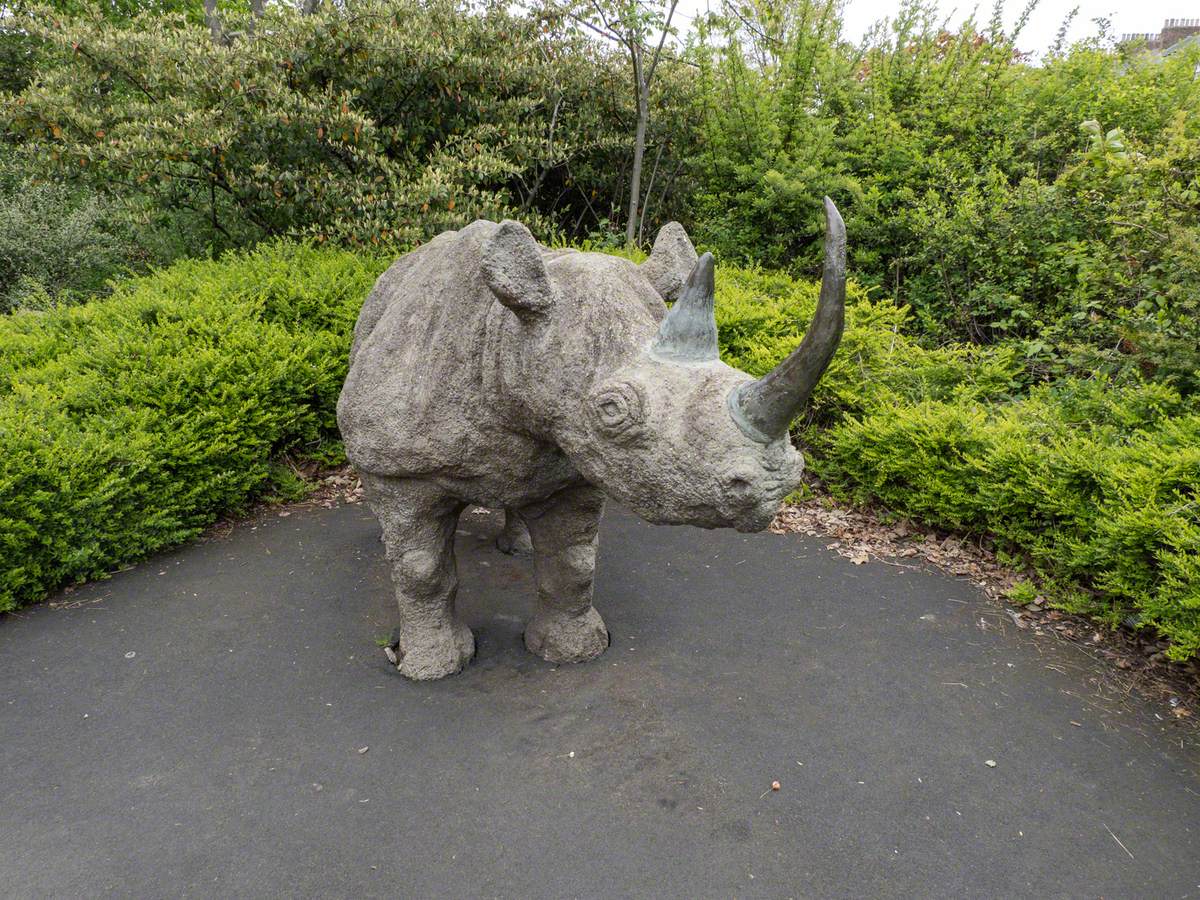 Black Rhinoceros | Art UK