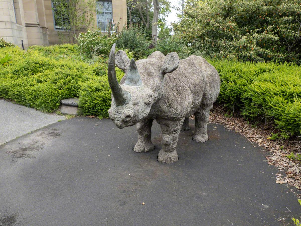 Black Rhinoceros | Art UK