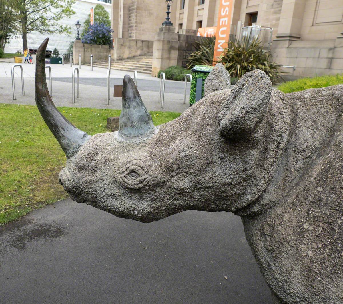 Black Rhinoceros | Art UK