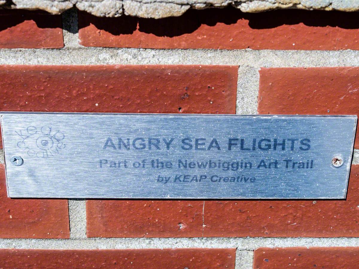 Angry Sea Flights and Angry Seas